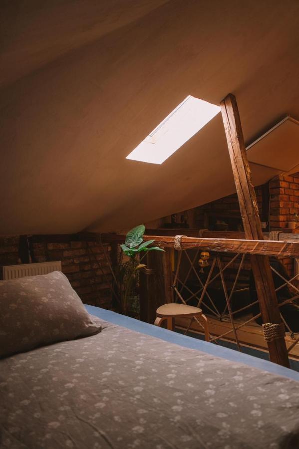 The House A La Cluj Villa Luaran gambar